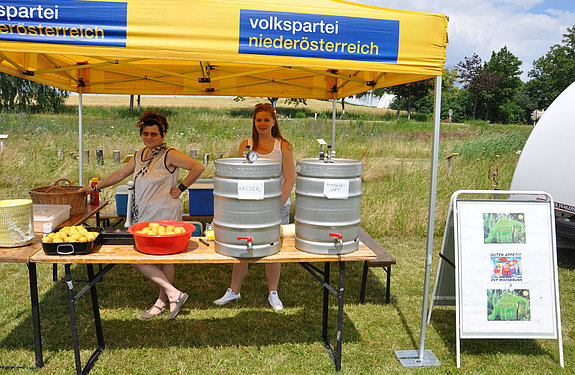 ÖVP Spielefest 2013 am Spielplatz Eisteich